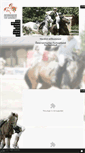 Mobile Screenshot of horseball.at